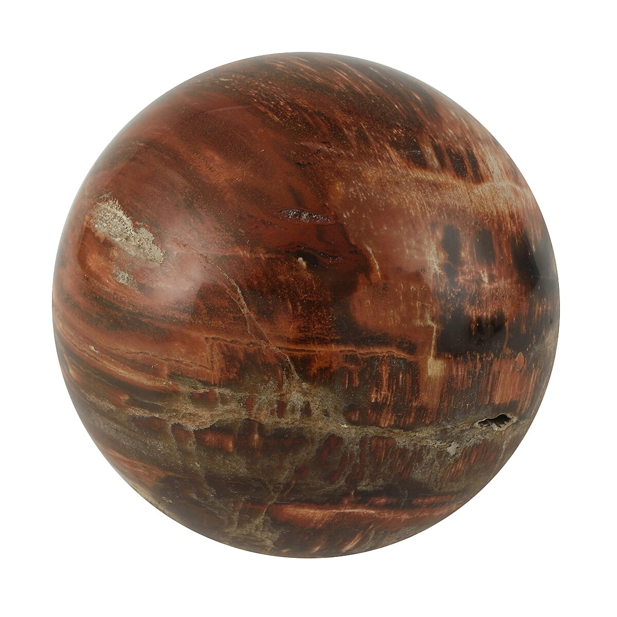 Galet Septarian - Large