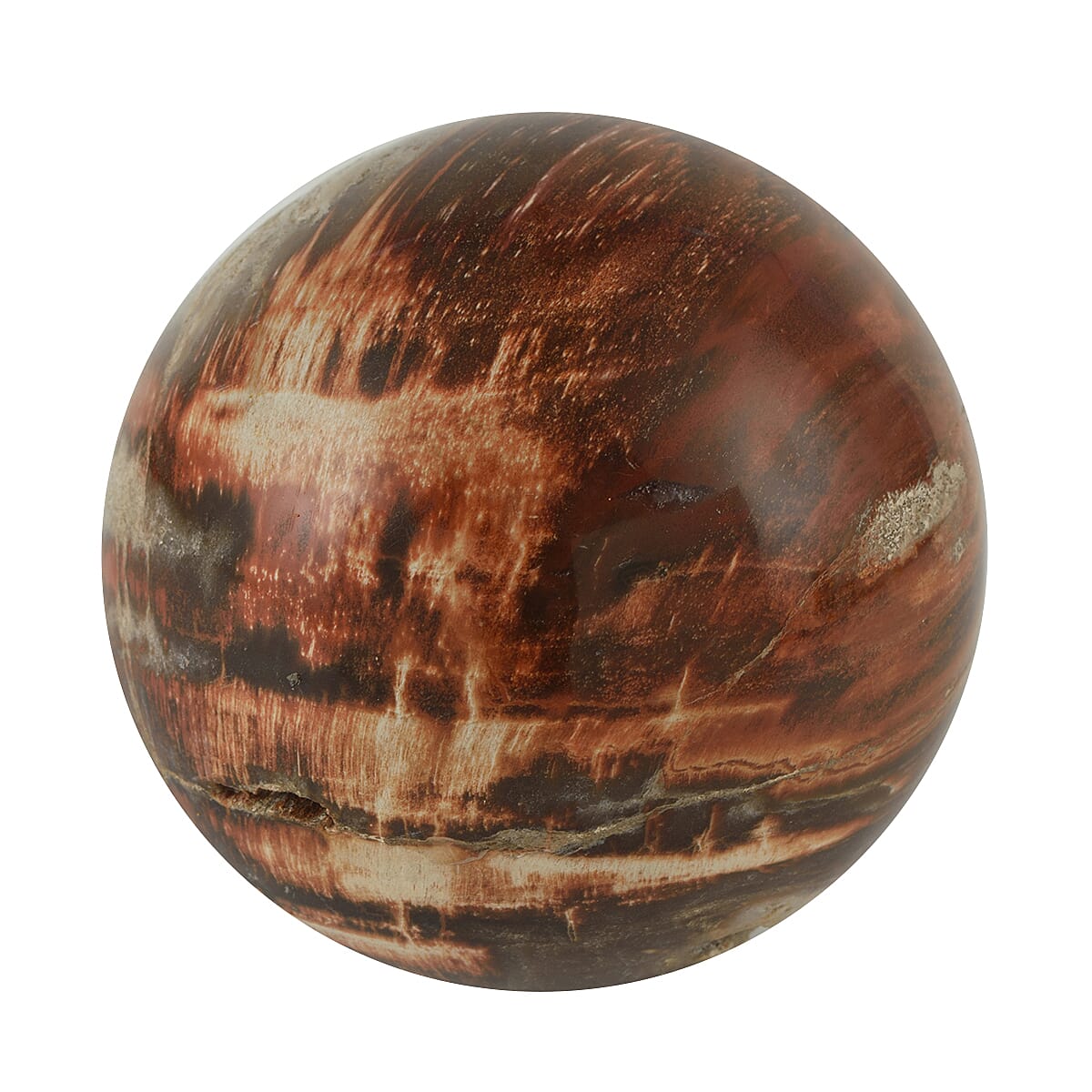 Galet Septarian - Large