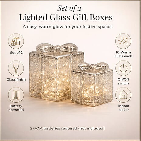 Set of 2 Lighted Gift Box for Christmas
