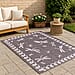 Dragonfly Woven Outdoor Rug Silver/Grey (Size 120x170)