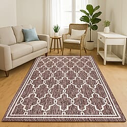 Dragonfly Woven Outdoor Rug Terracotta (Size 120x170)
