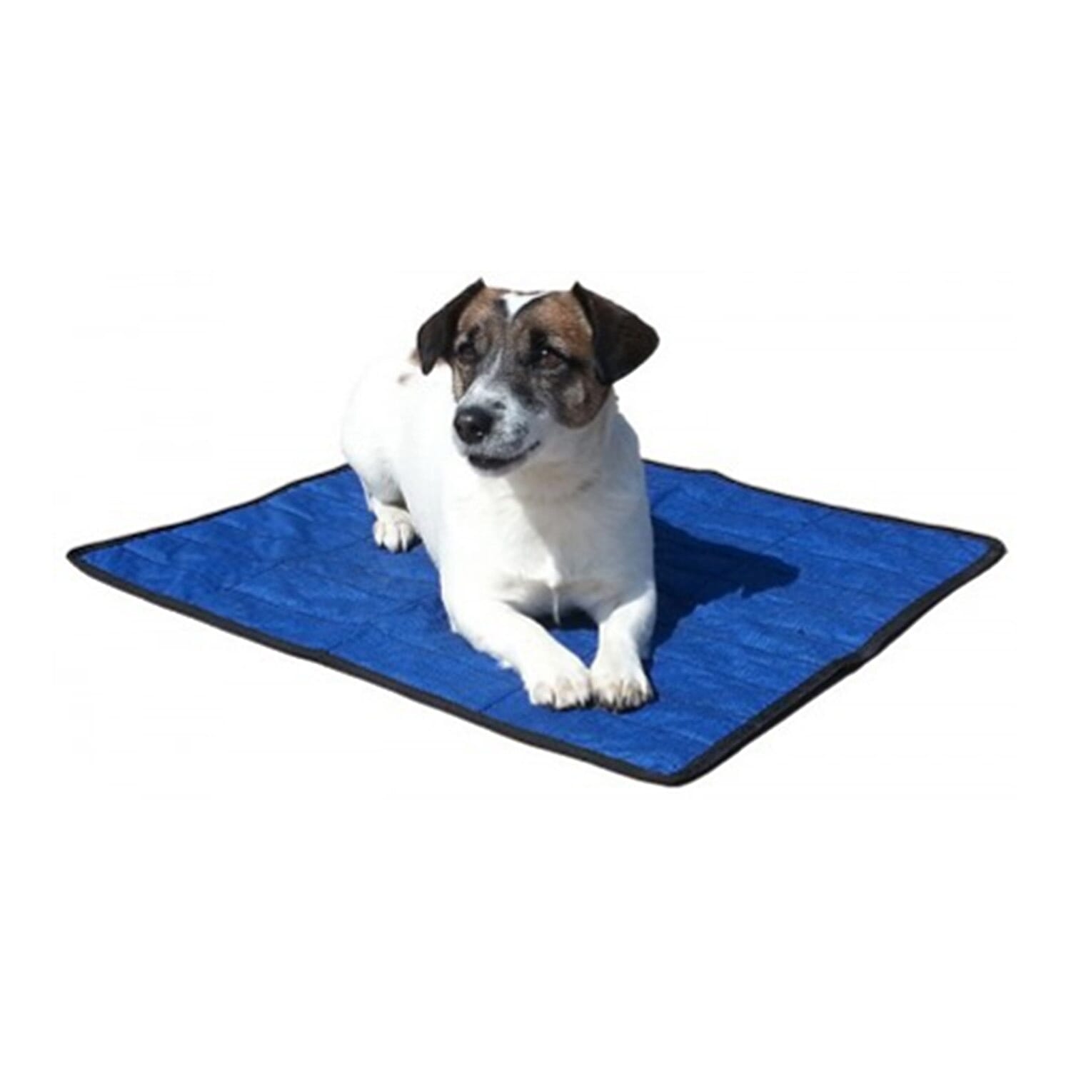 Aqua Coolkeeper Cooling Mat (Size 07, M) - Pacific Blue