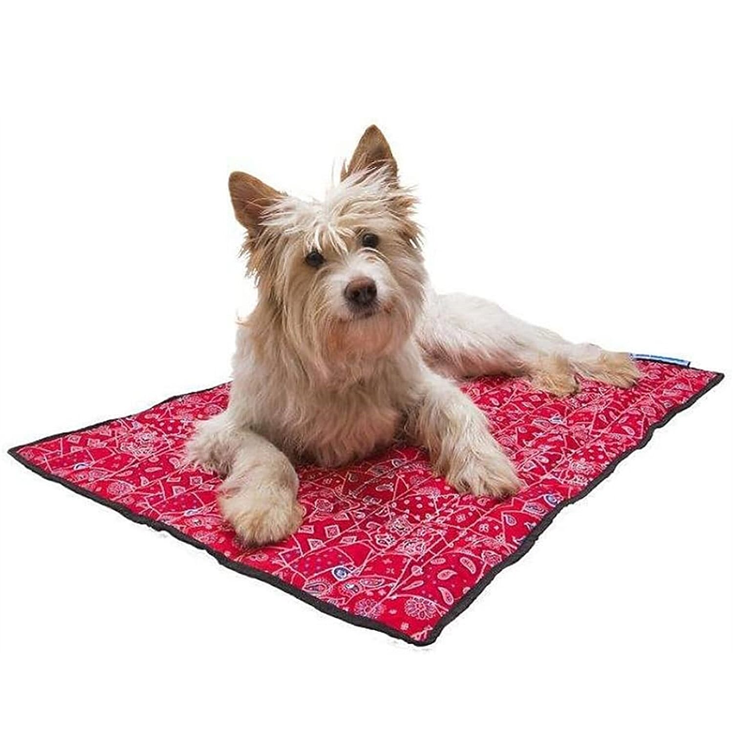 Passage Accessory Set (Size 1x1x1 cm) - Red