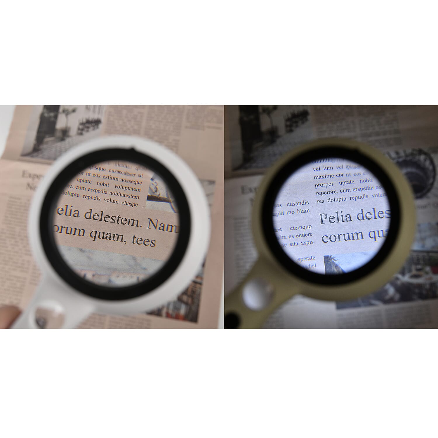 LED Handheld Interchangeable Magnifying Glass (3 x AAA Battery not inc.) - White