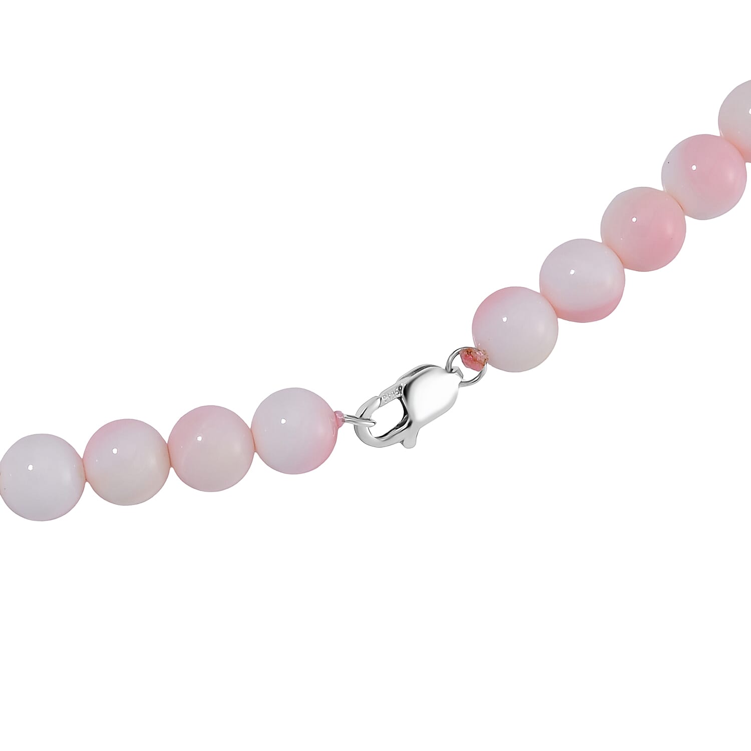 Rhapsody - 950 Platinum AAAA Queen Conch Shell Beads Necklace(Size - 20) 170.00 Ct.