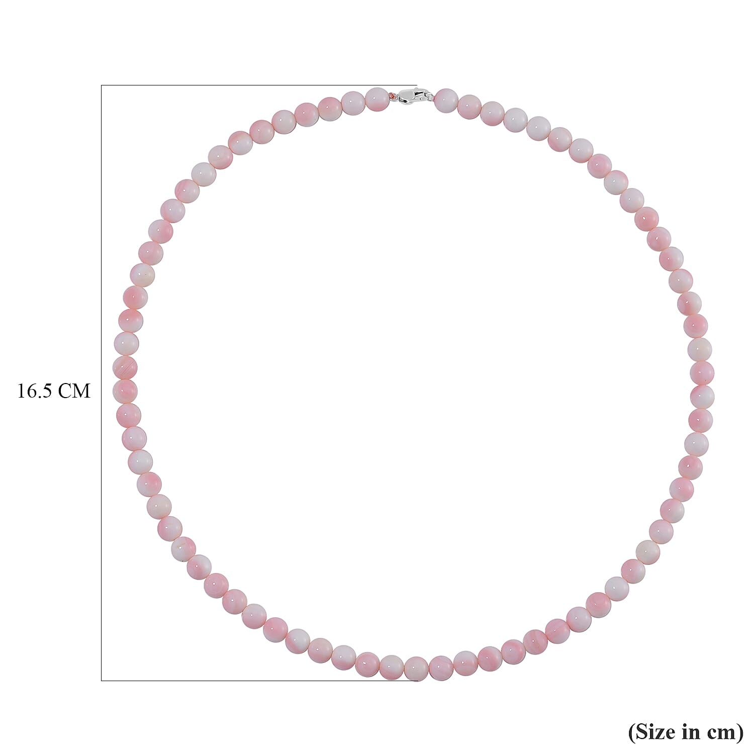 Rhapsody - 950 Platinum AAAA Queen Conch Shell Beads Necklace(Size - 20) 170.00 Ct.