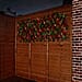 Solar LED  Red Expanding  Flower Trellis