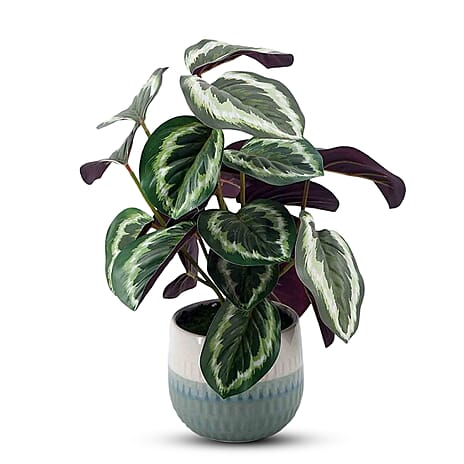 Taro leaf Artificial Flower One Size- Green