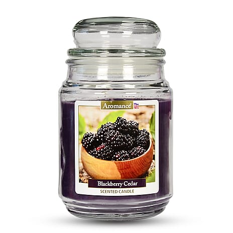 One Time Deal -Aromance Blackberry Cedar Scented Candle 18oz - Dark purple