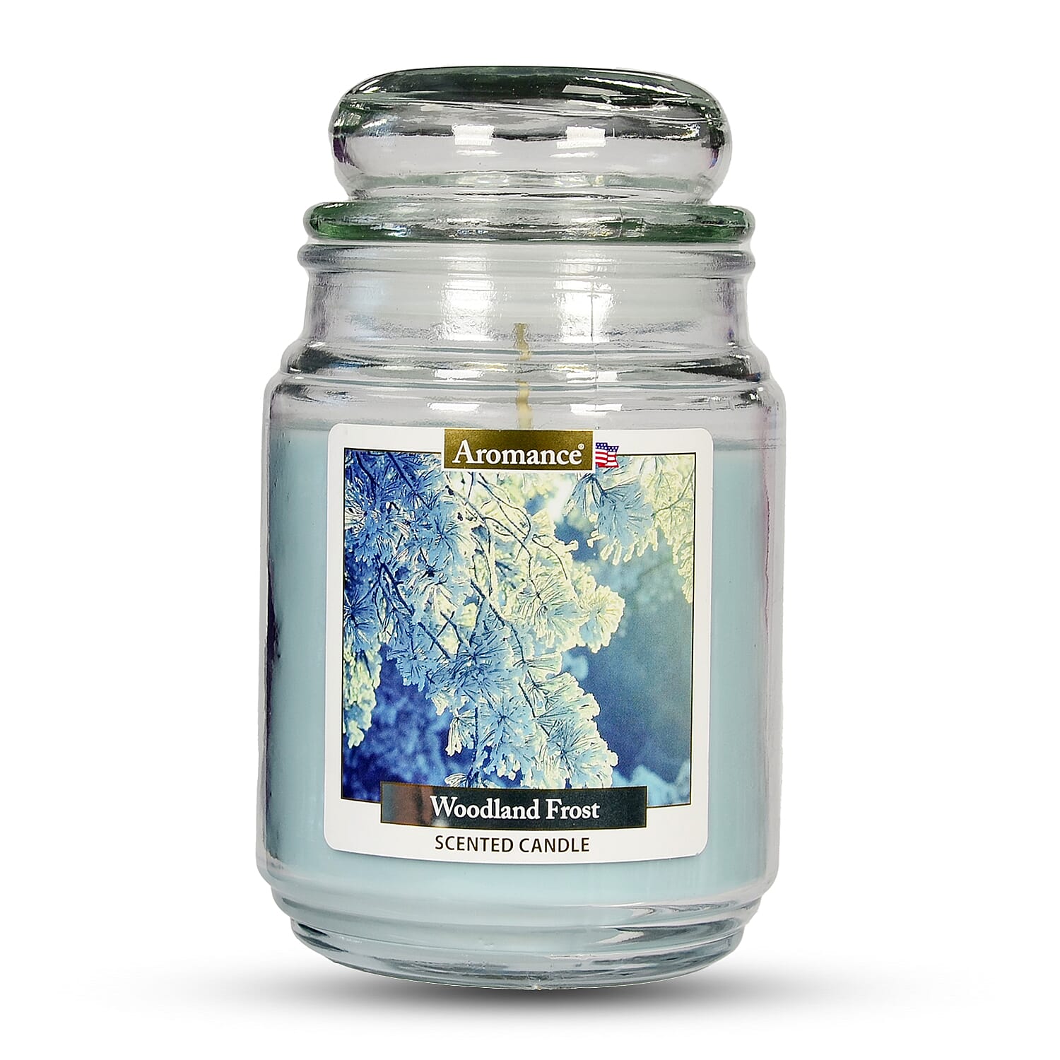 One Time Deal -Aromance Woodland Frost Scented Candle 18oz - Green