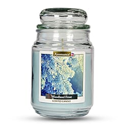 Aromance Woodland Frost Scented Candle (18oz)