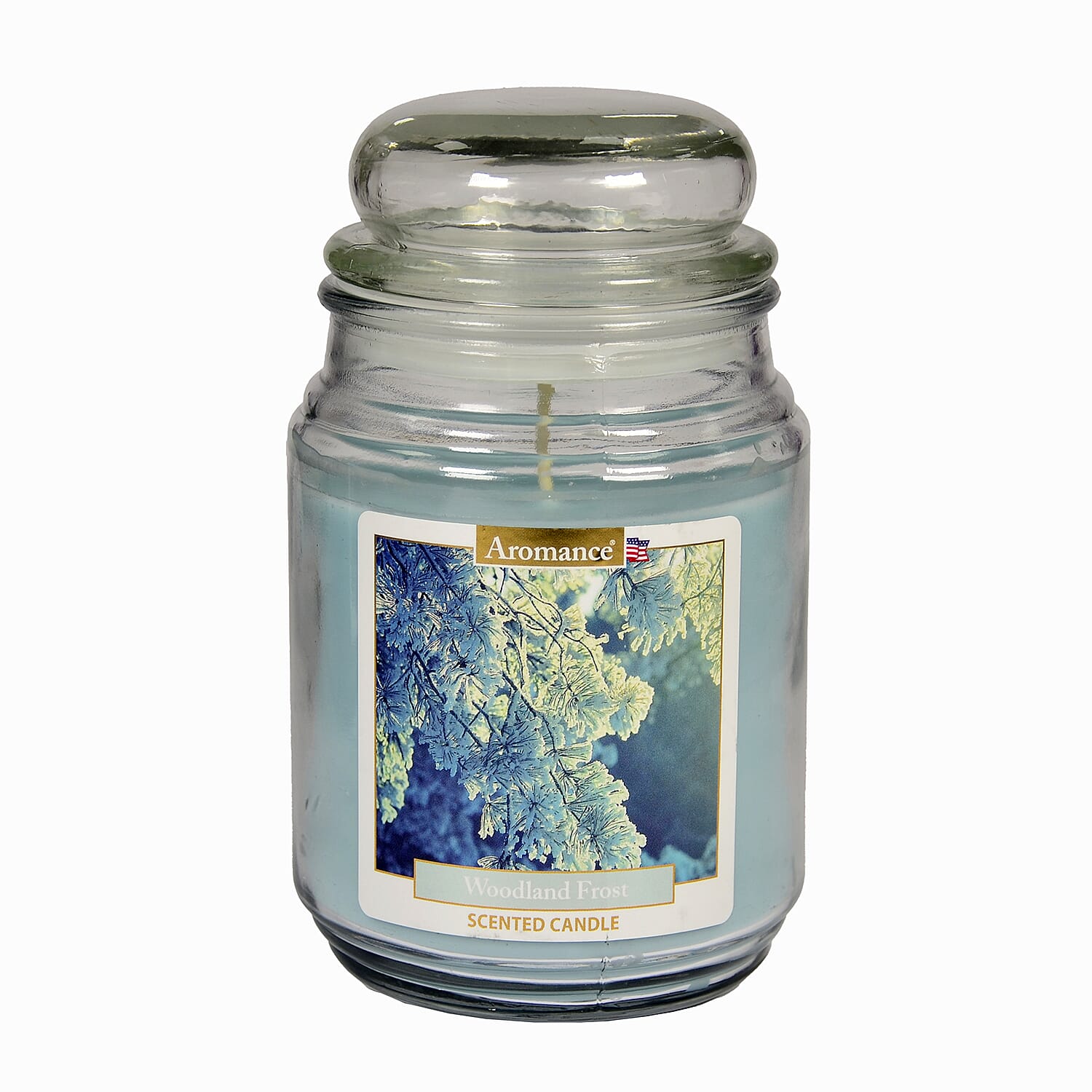 One Time Deal -Aromance Woodland Frost Scented Candle 18oz - Green