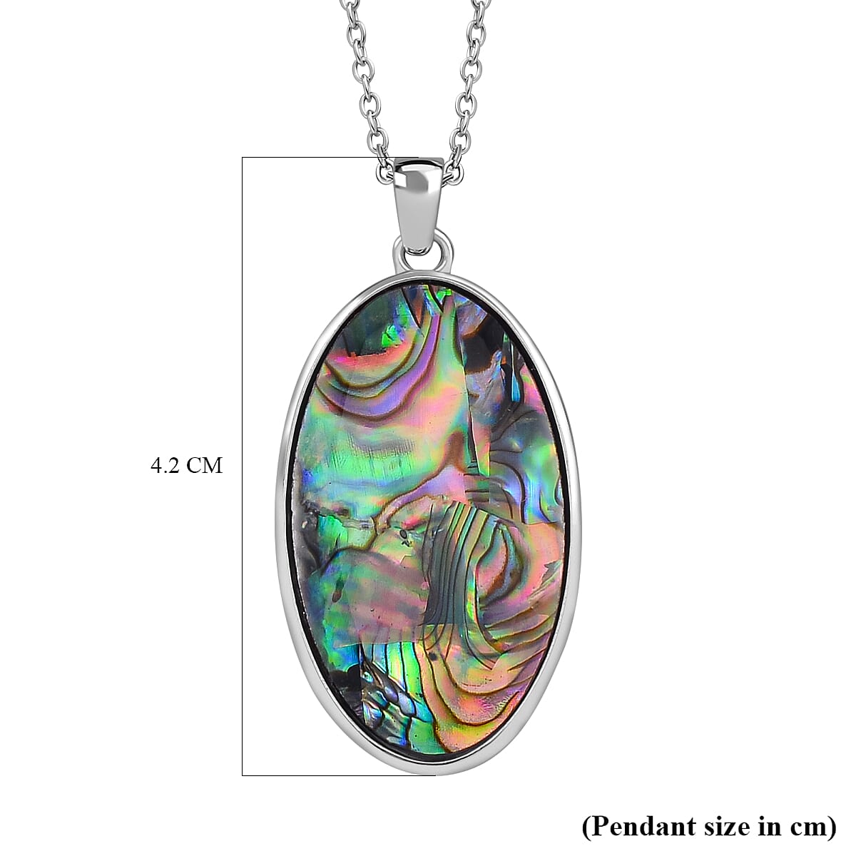 Abalone Shell Necklace (Size 20)