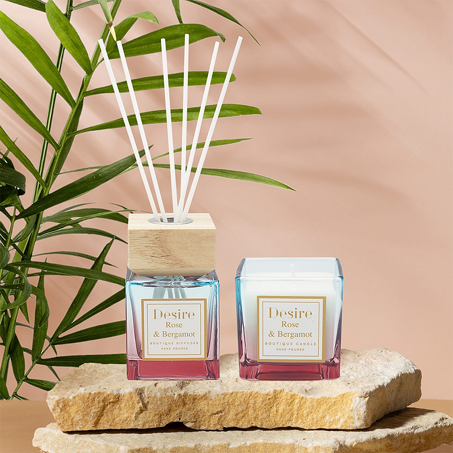  Lesser and Pavey Candle (100 gms) and Diffuser (100ml) Set - Cocoa & Cashmere