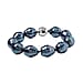 Peacock Color Shell Pearl Bracelet (Size - 8) in Rhodium Overlay Sterling Silver