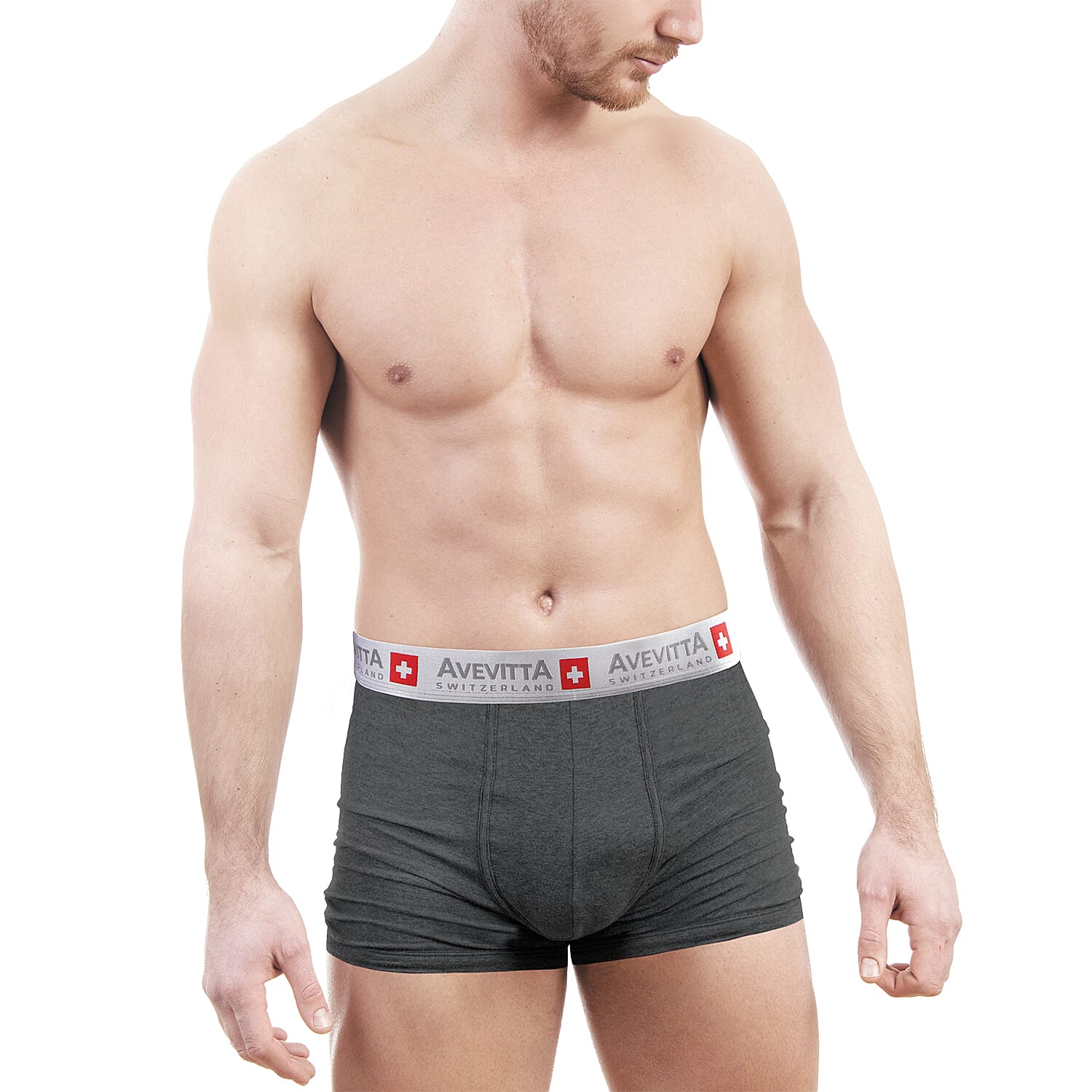 Sankom Avevitta 95% Cotton Antibacterial, Anti-Moisture Zinc Oxide Technology Mens Underwear (Size L) - Grey