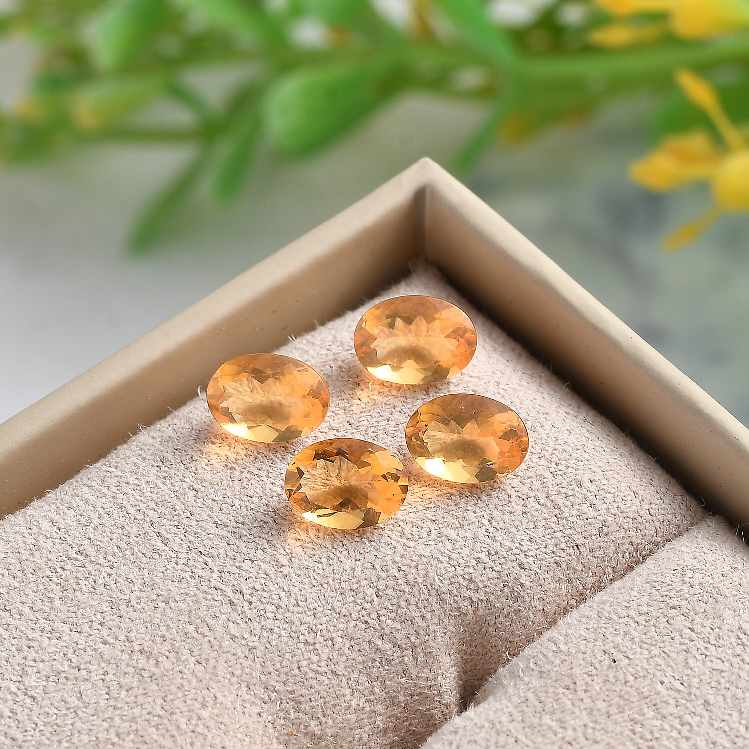 Fire Opal Oval 7x5 mm