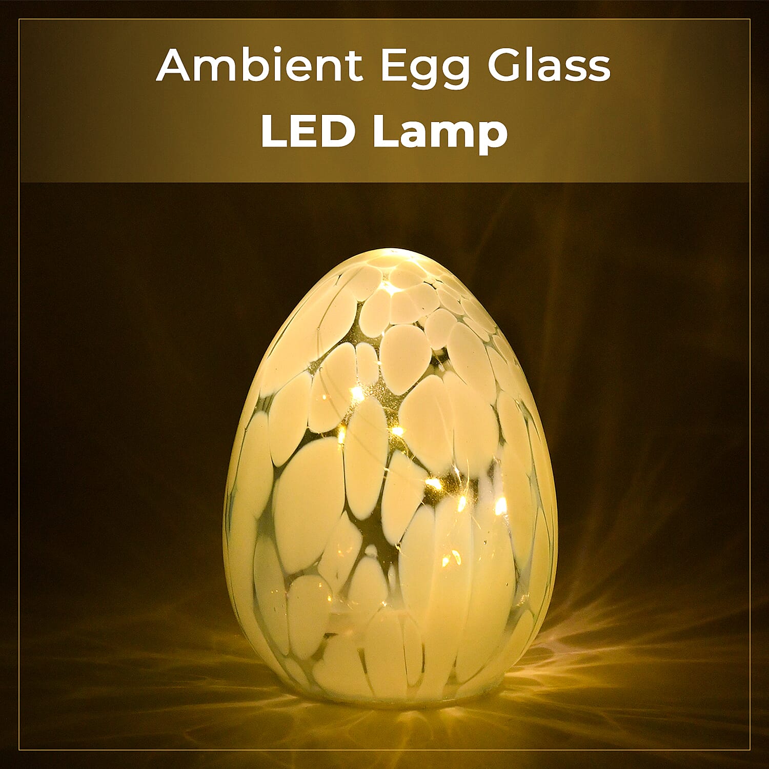 Ambient Egg Glass LED Lamp with String Lights