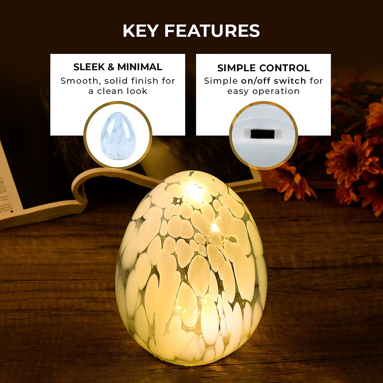 Ambient Egg Glass LED Lamp with String Lights