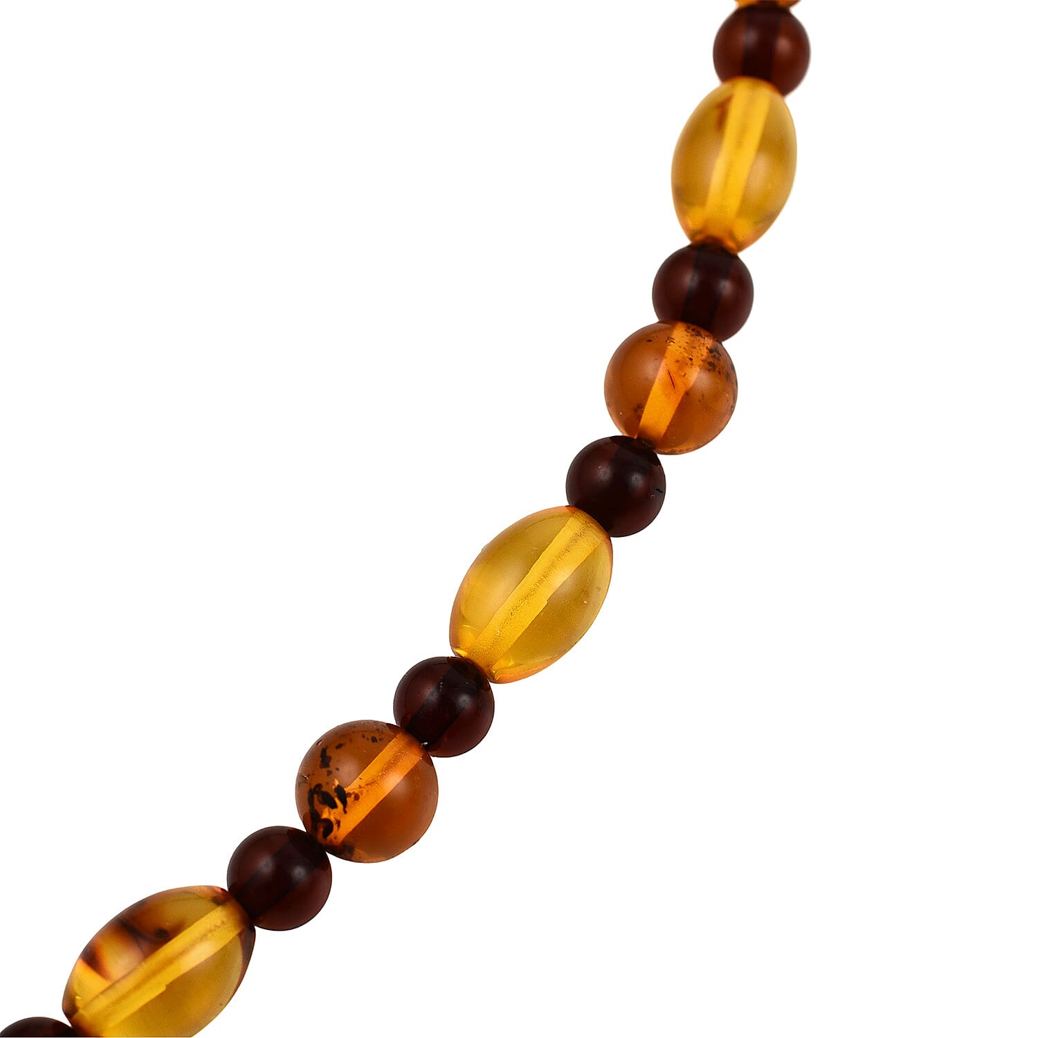 Multi-Colour Natural Baltic Amber Necklace (Size 24)