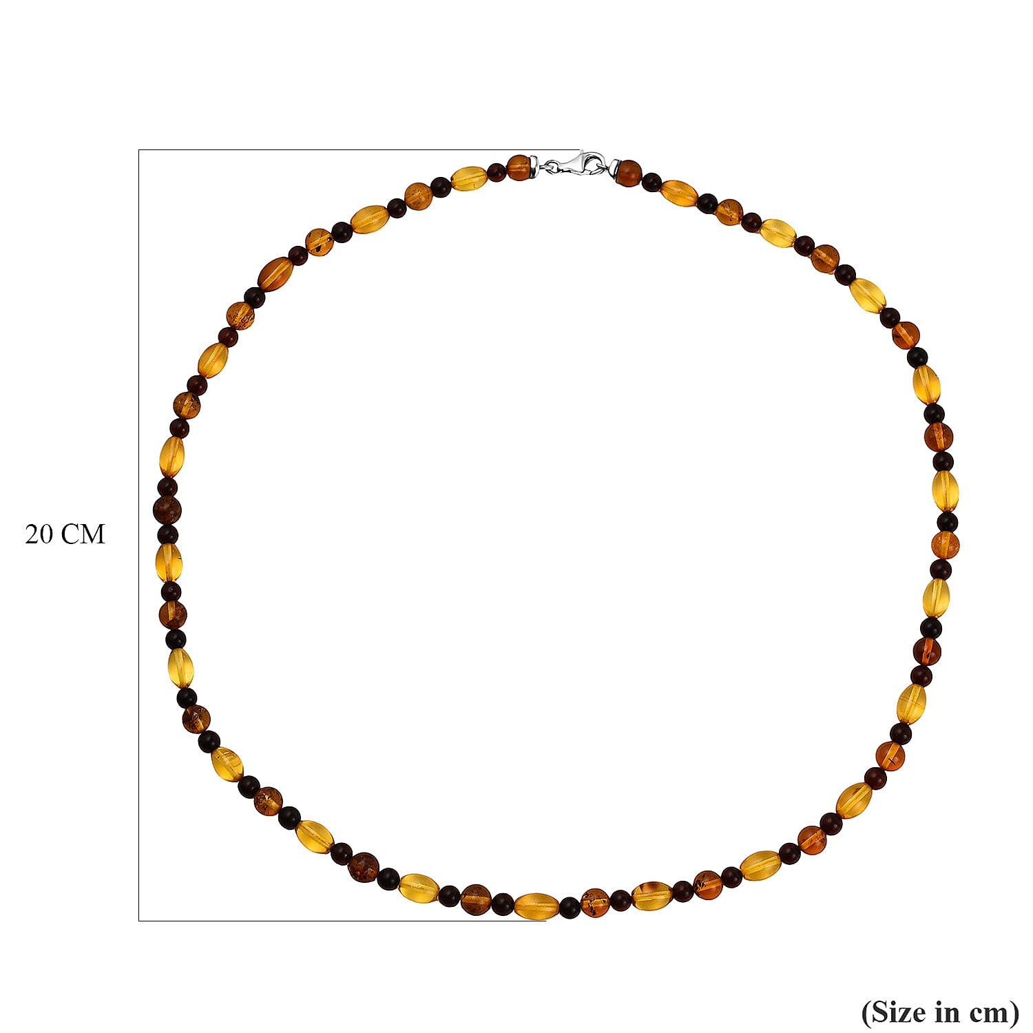 Multi-Colour Natural Baltic Amber Necklace (Size 24)