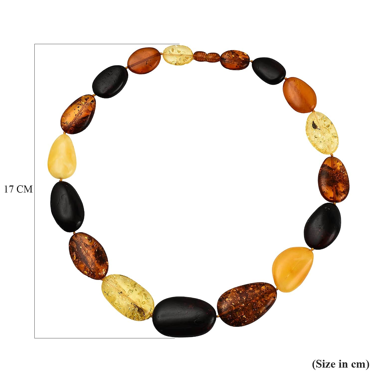 Natural Multi - Colour Baltic Amber Necklace (Size 18)