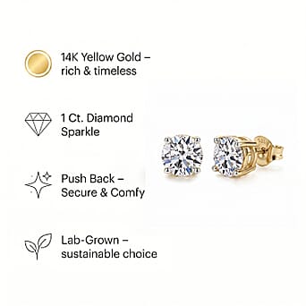 https://tjcuk.sirv.com/Products/78/3/7833565/7833565_4.jpg?w=342&h=342