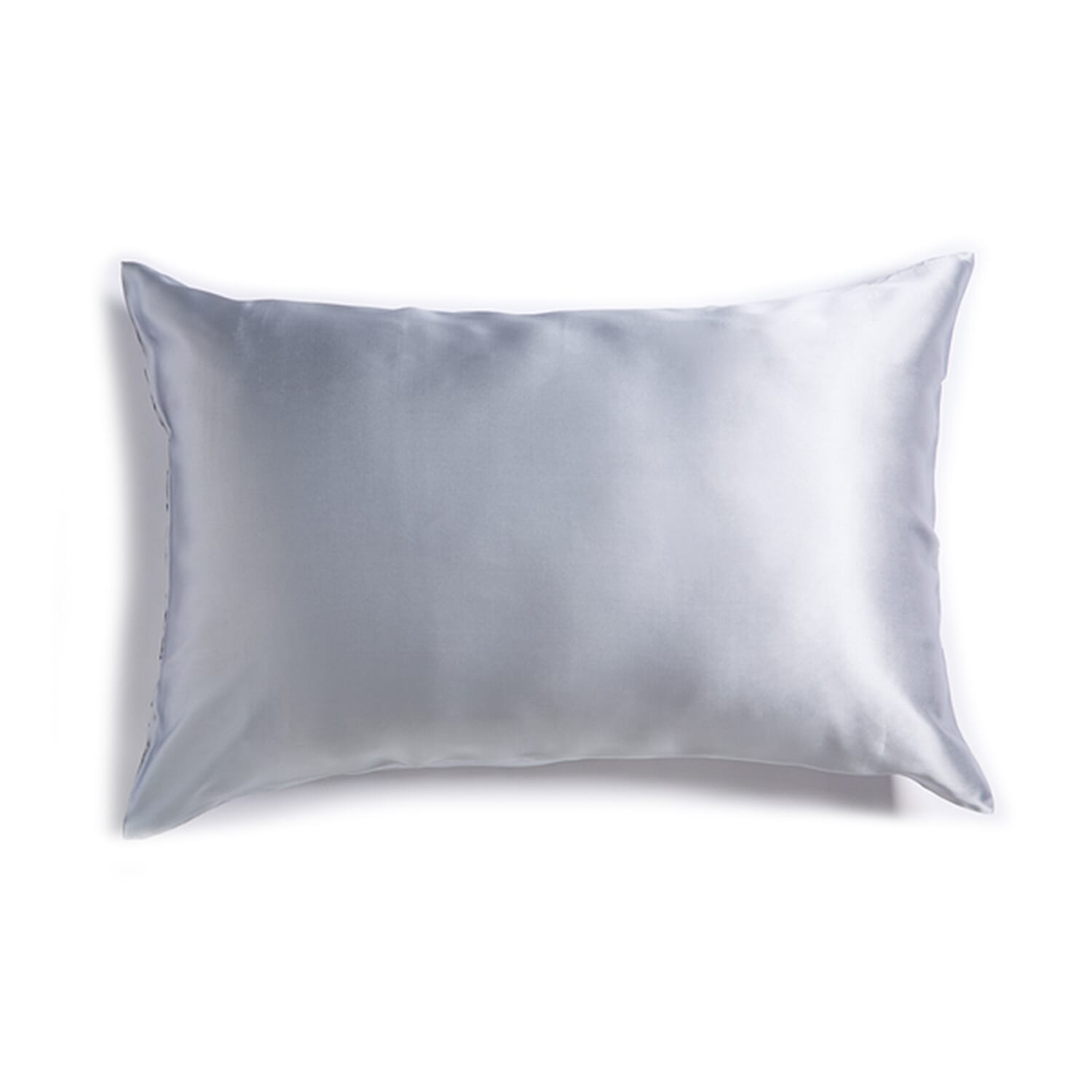 Mulberry Silk Pillow Case and Cover (Size 75x1 cm) - Grey