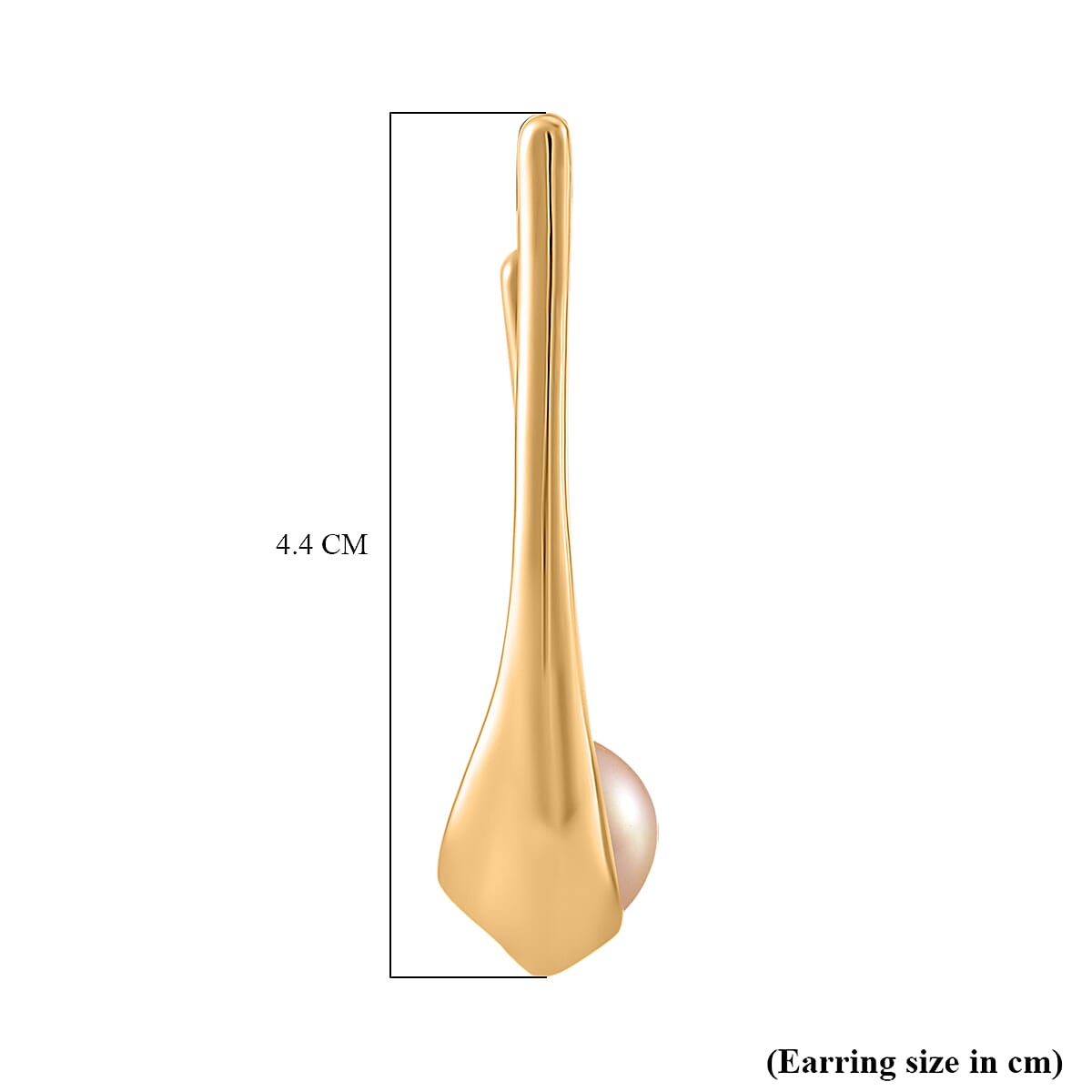 Golden Shell Pearl  Earrings