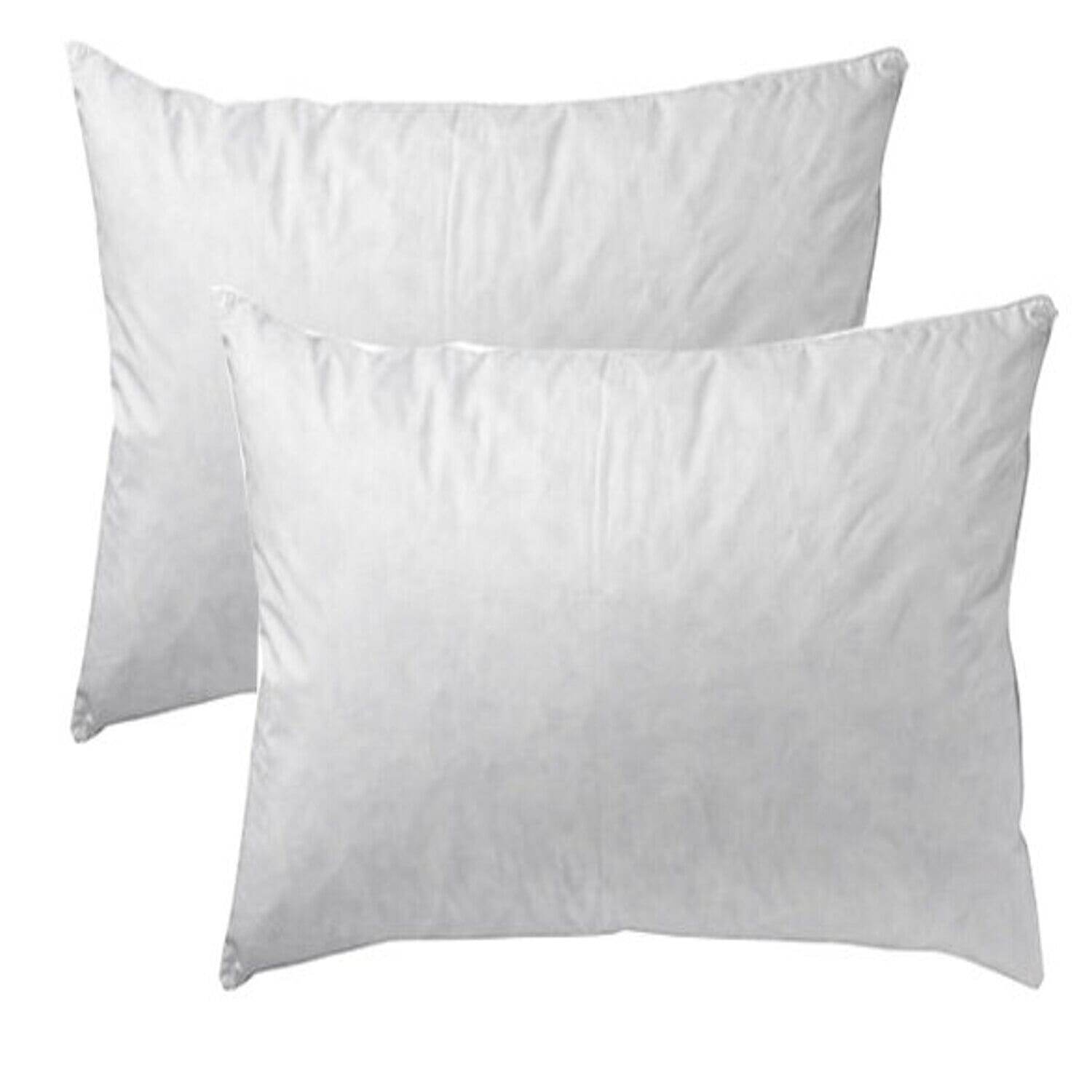 Goose Feather Pillow (Size 1x1 cm) - White