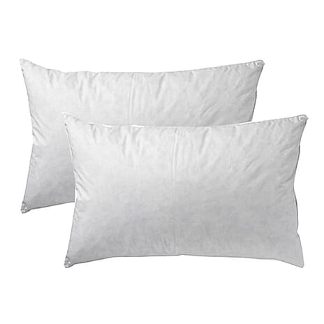 2 Pack Goose Feather - Down Pillow - White