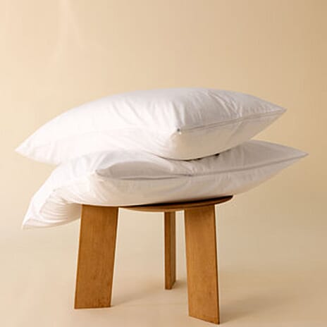 2 Pack Goose Feather - Down Pillow - White
