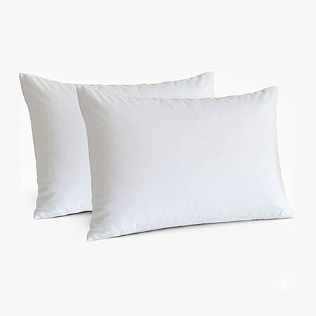 2 Pack Goose Feather - Down Pillow - White