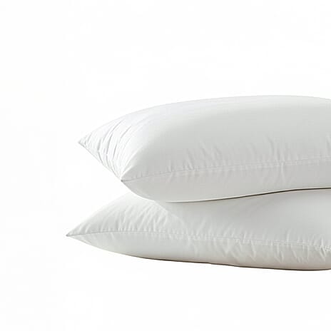 2 Pack Goose Feather - Down Pillow - White