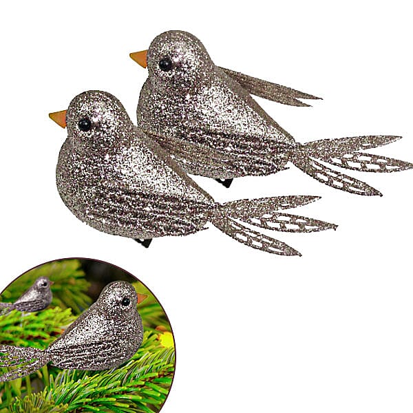 2 GLITTER CLIP BIRDS 10CM CHAMP