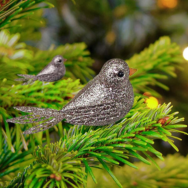 2 GLITTER CLIP BIRDS 10CM CHAMP