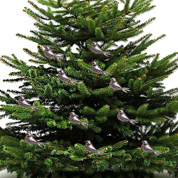 2 GLITTER CLIP BIRDS 10CM CHAMP