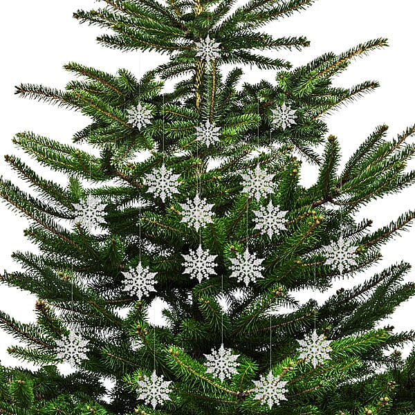 Set of 6 - Christmas Decorative Glitter Hang Snowflakes - White