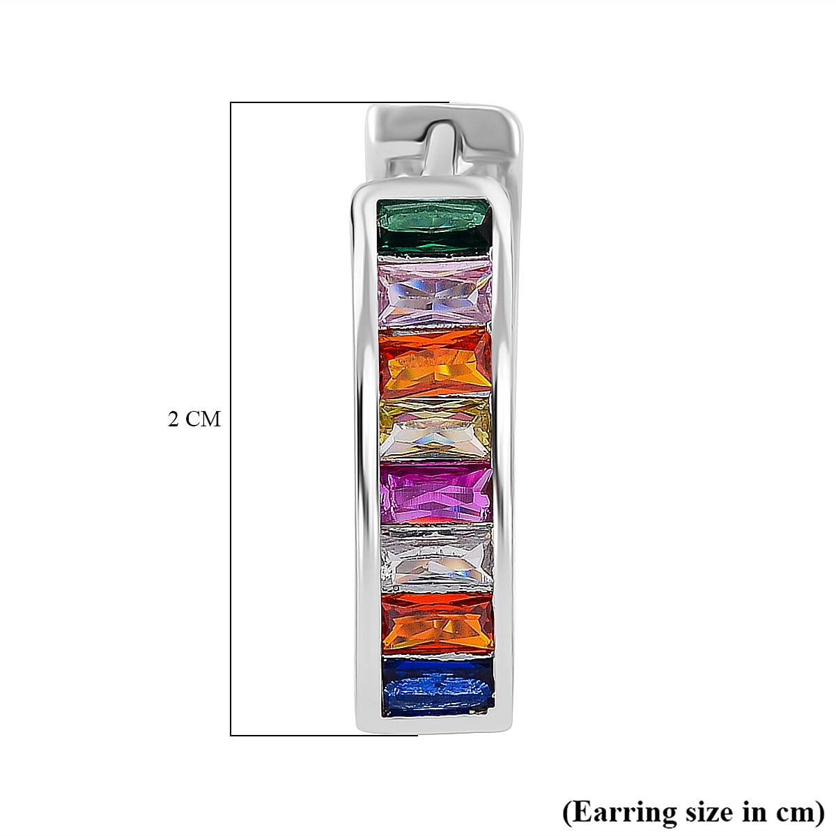 Multi Colour Cubic Zirconia Earring in White Tone