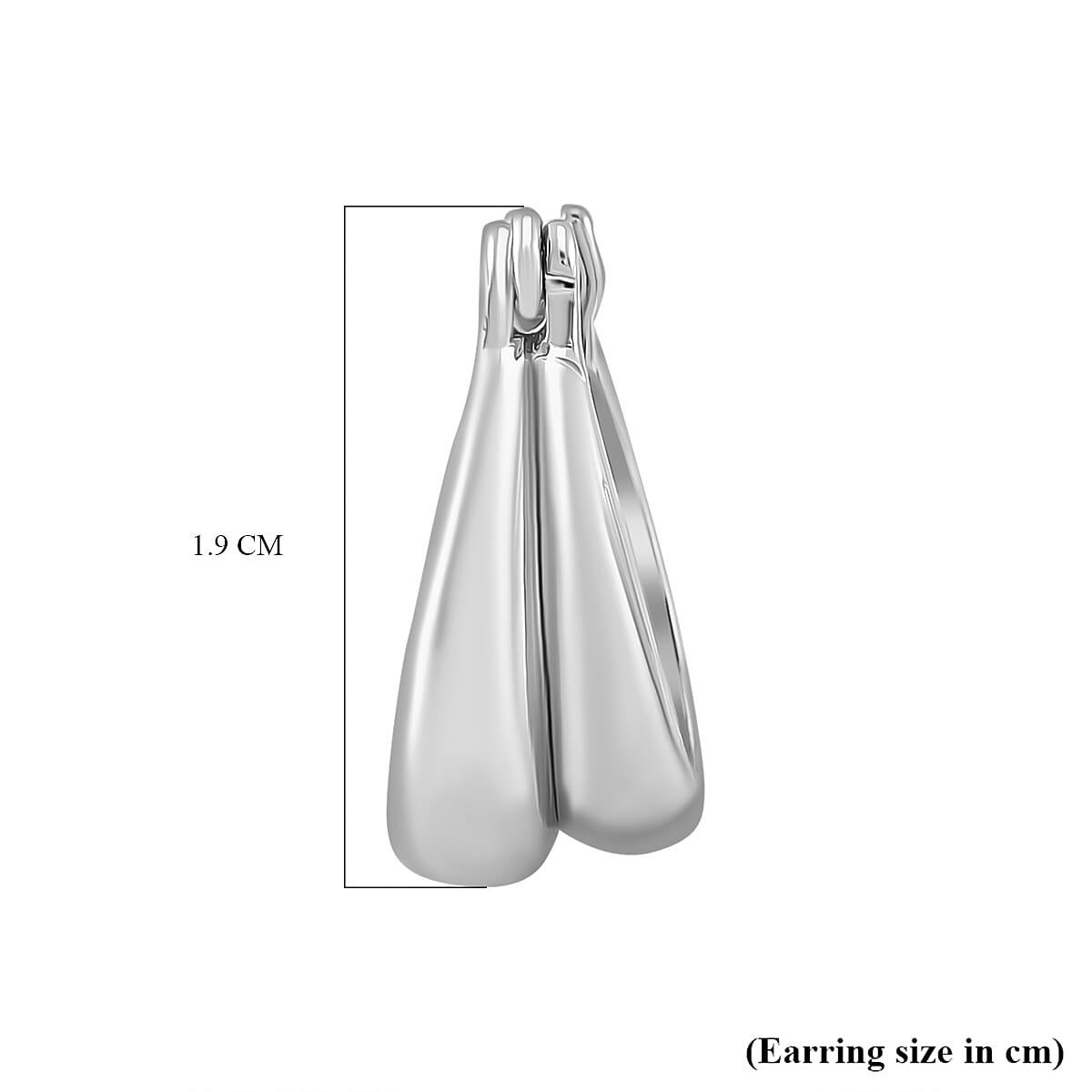 Designer Closeout - Fancy Hoop Earrings - Silver Colour