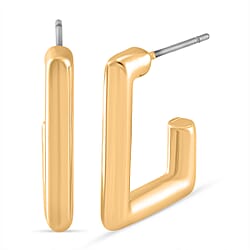 Designer Inspired Earrings