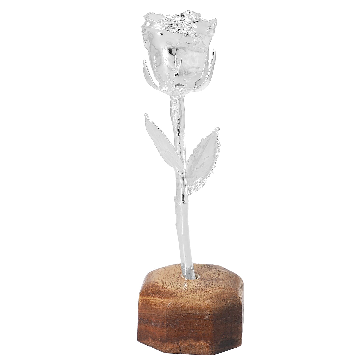 Handcrafted Silver Overlay Eternal Real Rose in Gift Box (15.2 Cm)