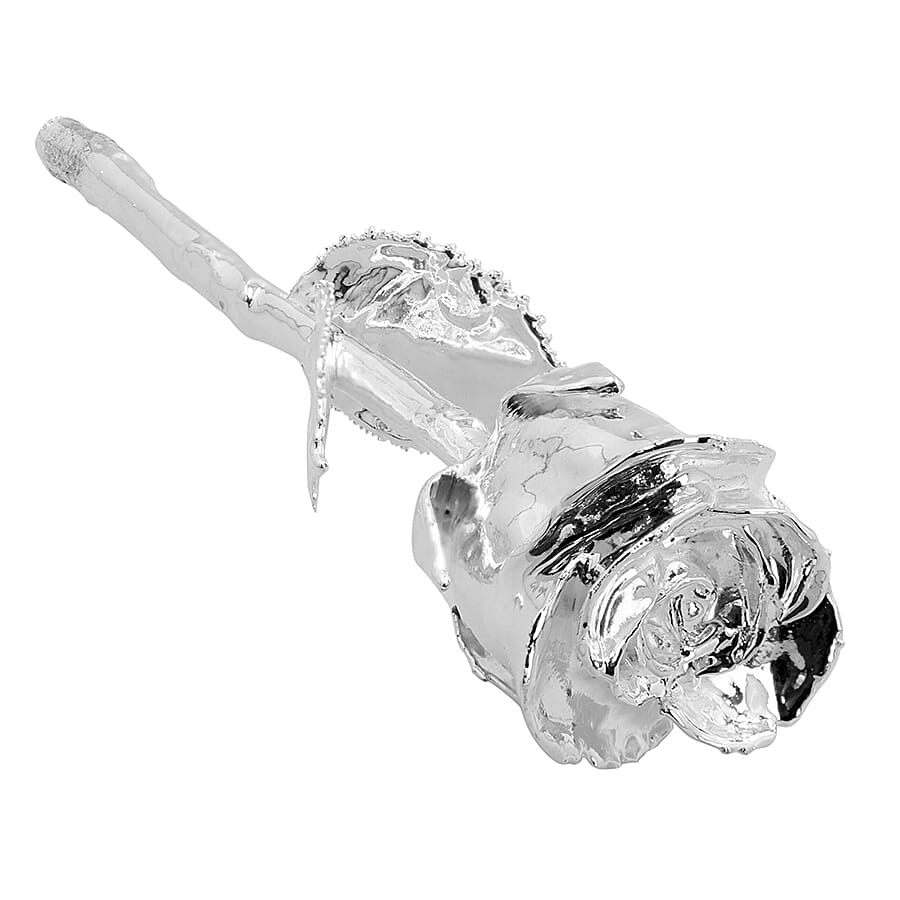 Handcrafted Silver Overlay Eternal Real Rose in Gift Box (15.2 Cm)