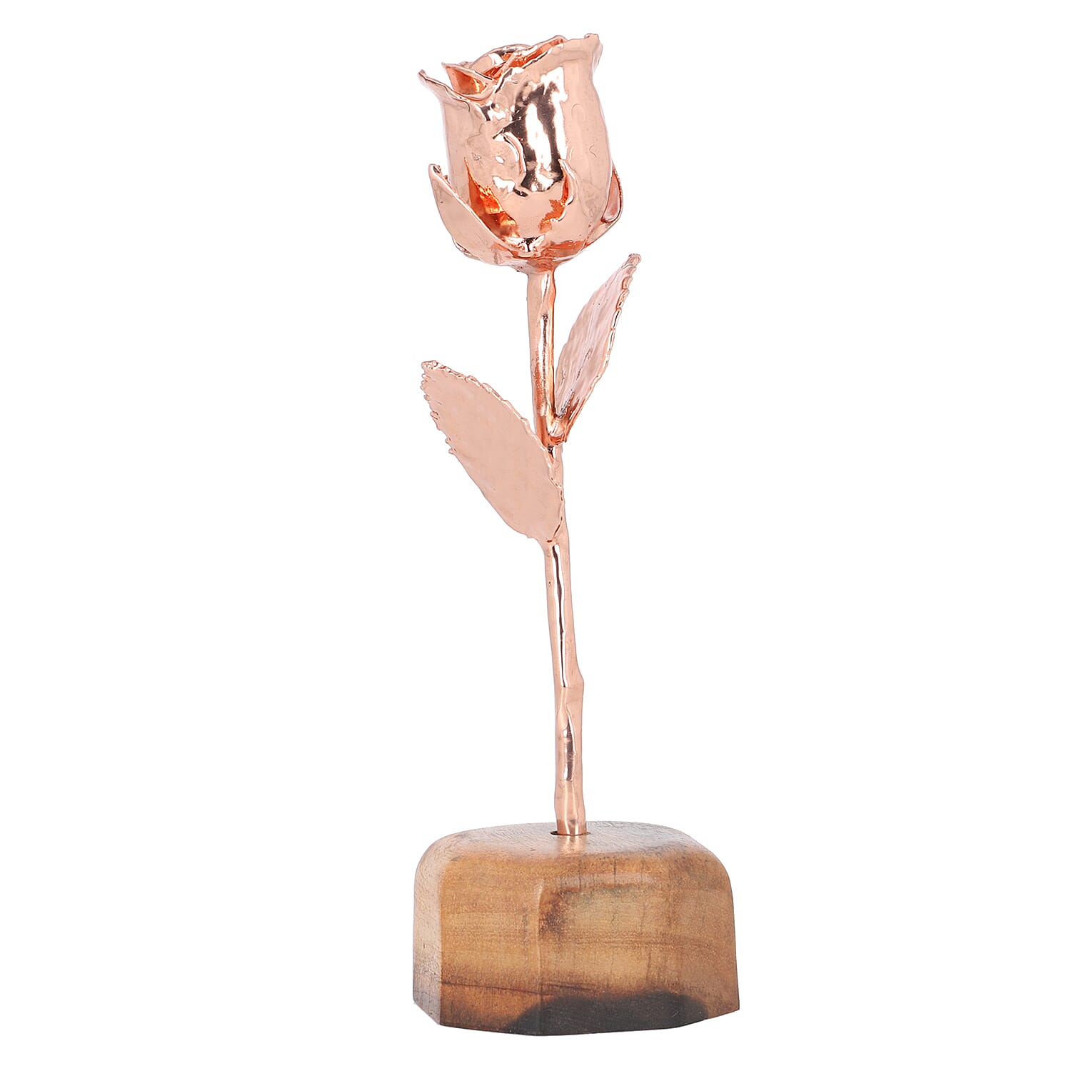 Handcrafted Rose Gold Overlay Eternal Real Rose in Gift Box (15 Cm)