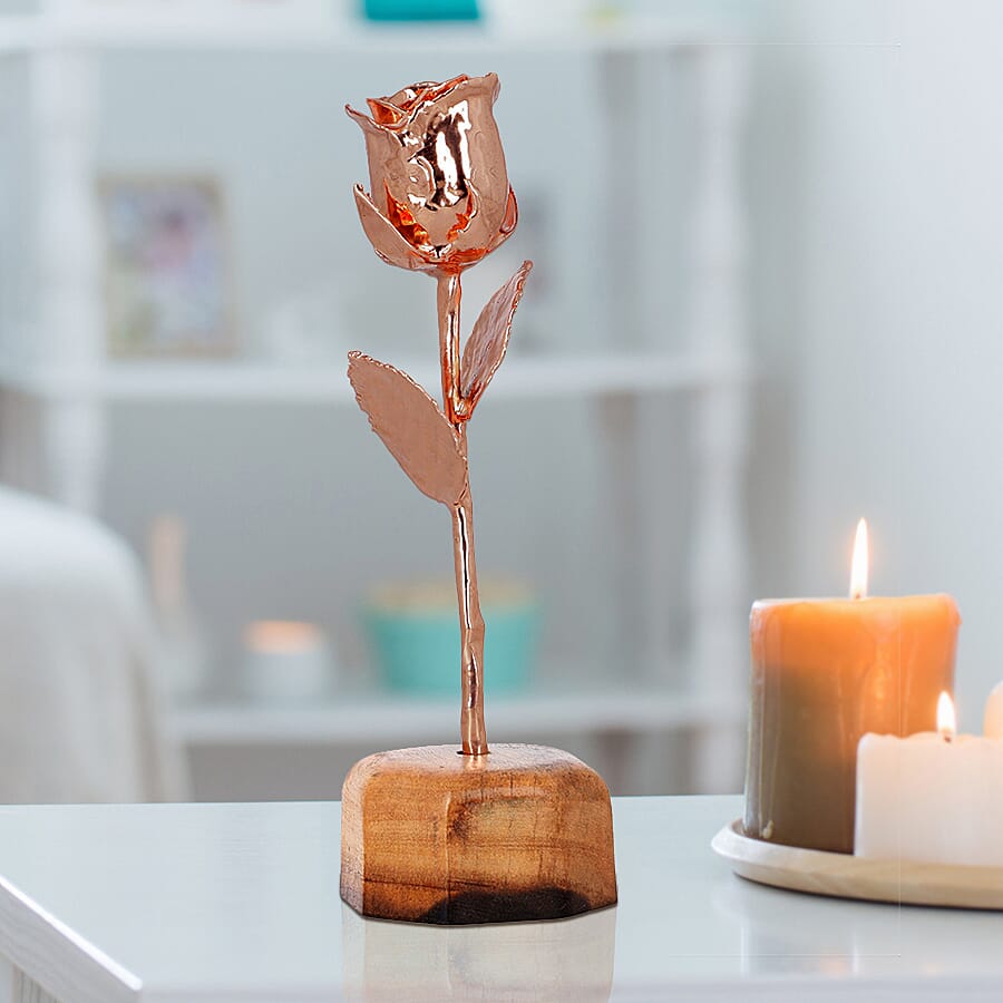 Handcrafted Rose Gold Overlay Eternal Real Rose in Gift Box (15 Cm)