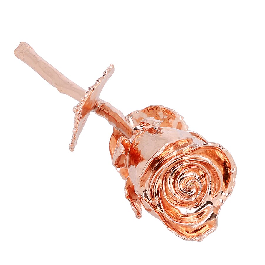 Handcrafted Rose Gold Overlay Eternal Real Rose in Gift Box (15 Cm)