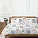 Comforter and Duvet