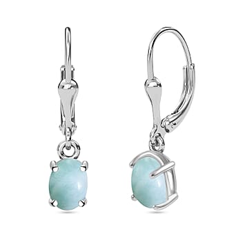https://tjcuk.sirv.com/Products/79/5/7951261/Natural-Green-Larimar-Earring-in-Platinum-Overlay-Sterling-Silver-1-80_7951261.jpg?w=342&h=342