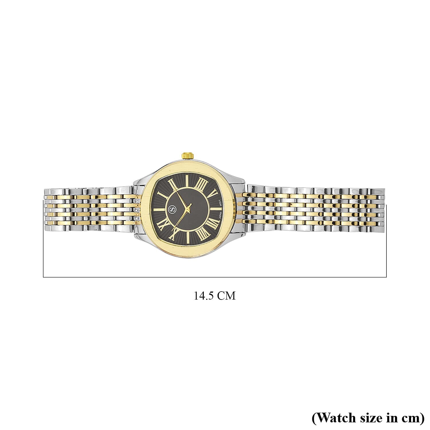 STRADA PC21S Japanese Movement Water Resistant Black Sunshine Hydraulic Dial Watch with Two-Tone Stainless Steel Strap STRADA PC21S Japanese Movement Water Resistant Black Sunshine Hydraulic Dial Watch with Two-Tone Stainless Steel Strap