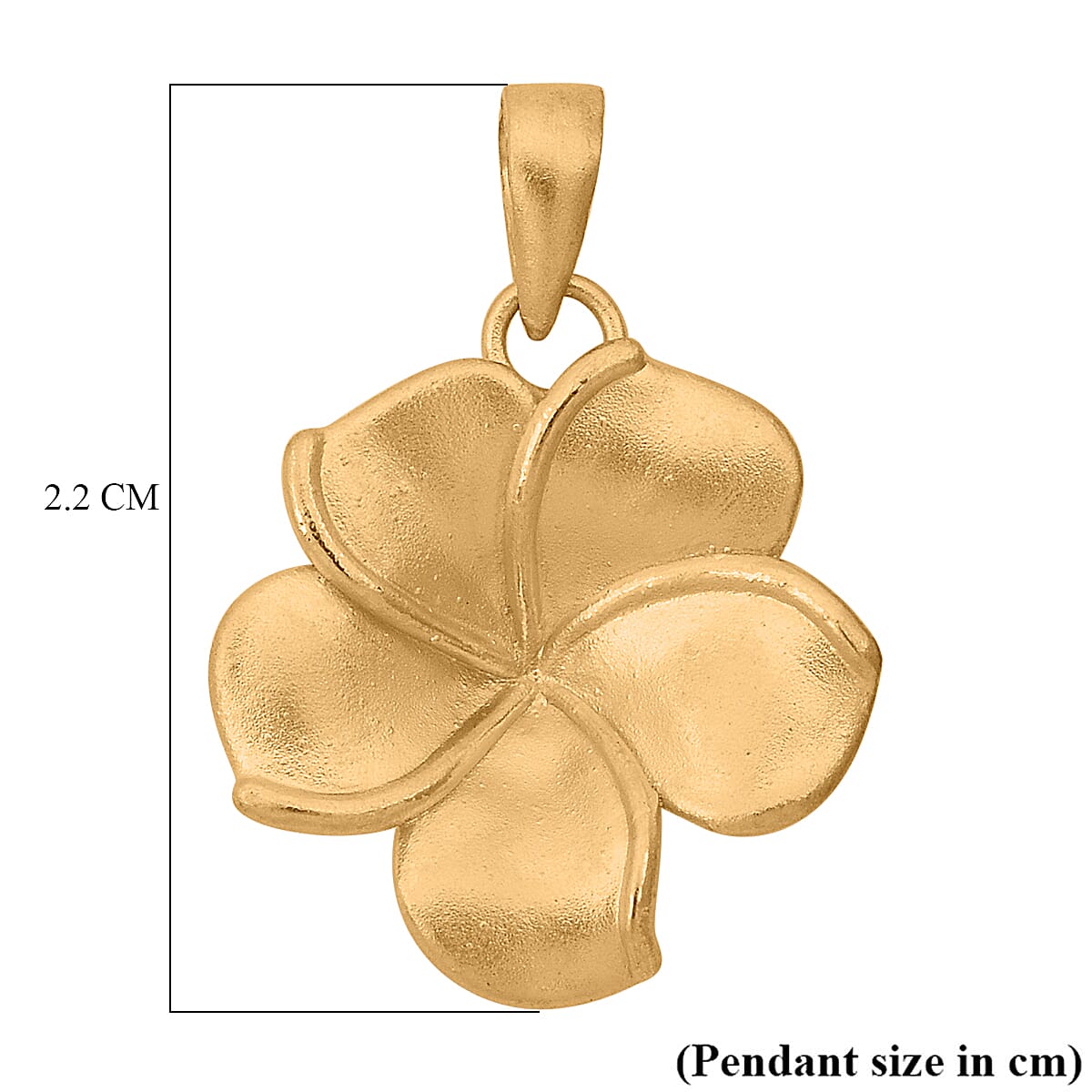 24K Yellow Gold Standard Pendant